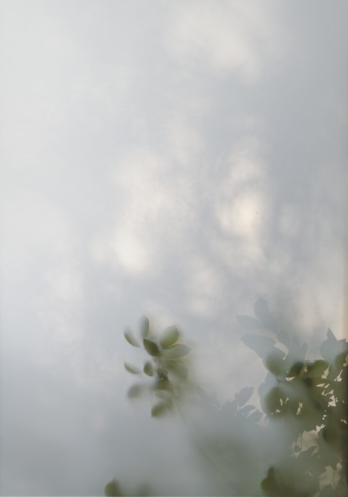Serene Vision, No.1