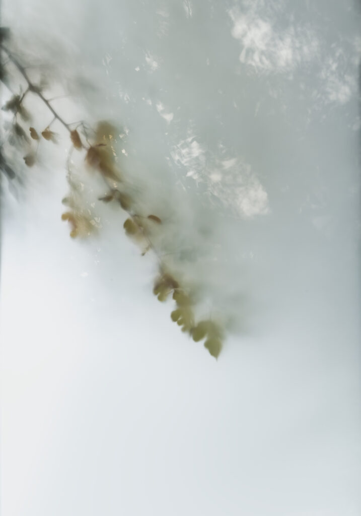 Serene Vision, No.3