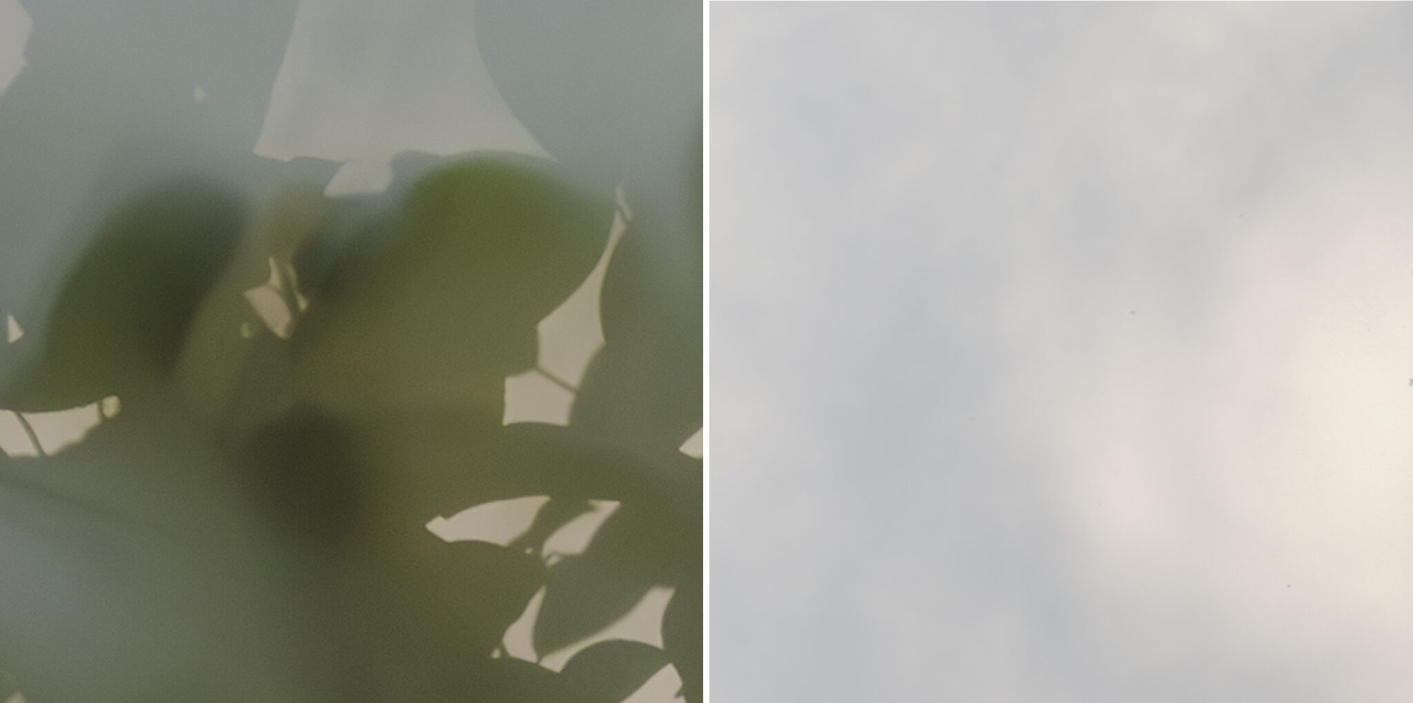©Nimkat-studio-Serene Vision-1 detail