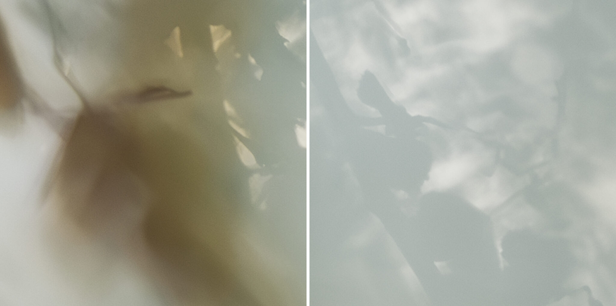 ©Nimkat-studio-Serene Vision-3 detail
